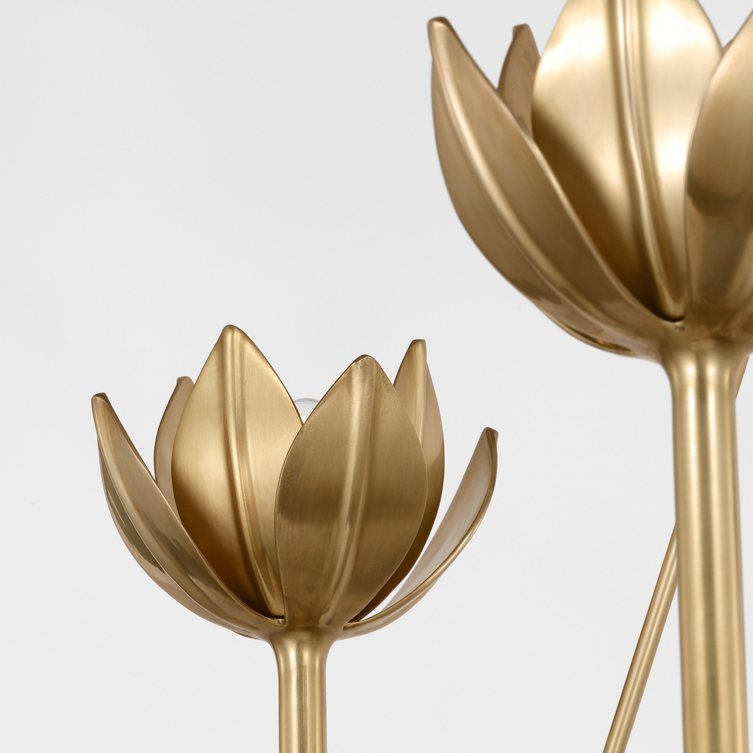 Alberto Modern Minimalist Floral Brass Chandelier - Neutralighting