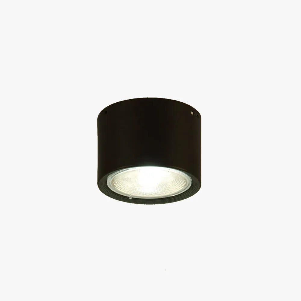 Arisha Modern Round Flush Mount Ceiling Light, Wood/Black, Living Room - Neutralighting