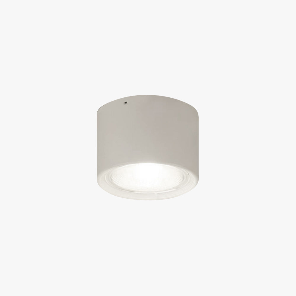 Arisha Modern Round Flush Mount Ceiling Light, Wood/Black, Living Room - Neutralighting
