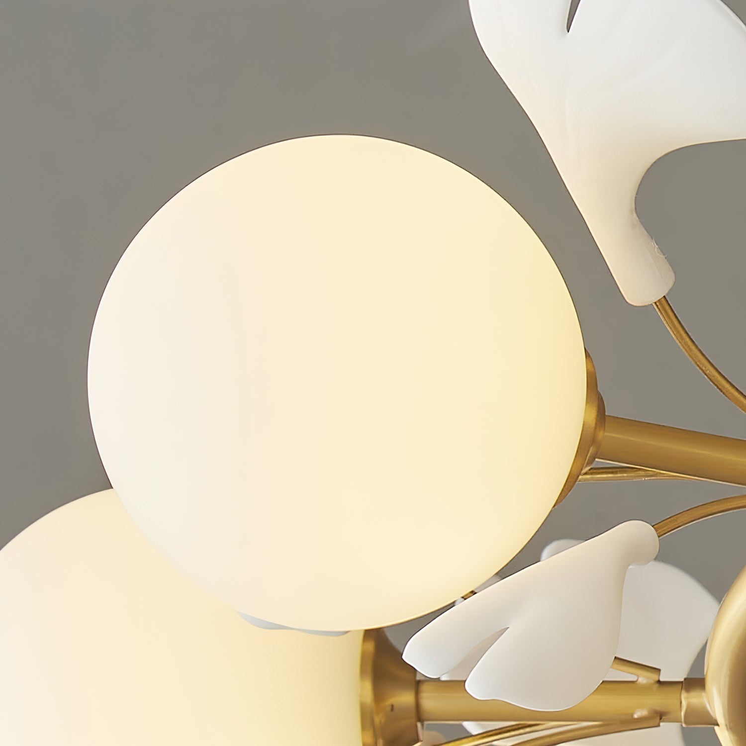 Fidova 8-Light Globe Chandelier - Neutralighting