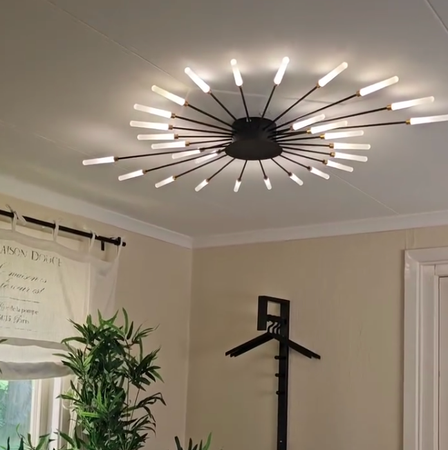 Wesley Flush-Mount Ceiling Light Fireworks, Black/Gold
