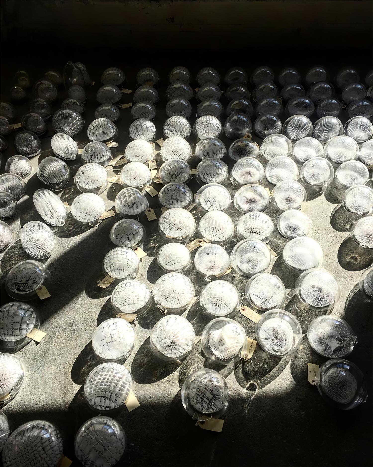 Chandelier Mesh Glass Orbs Cluster Metal Frame Modern Minimalist - Neutralighting