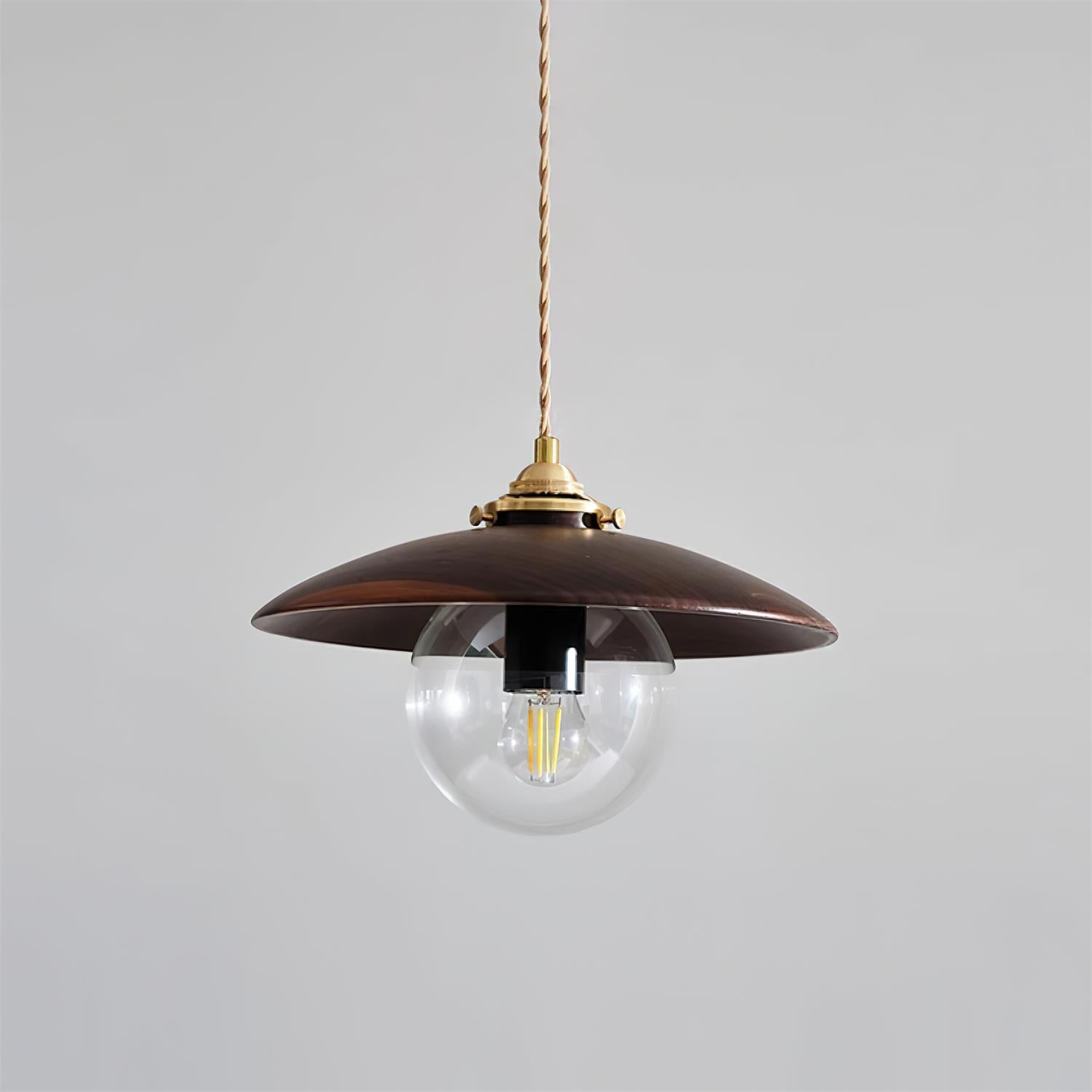 Pendant Light with Metal Disc Shade and Glass Globe Industrial - Neutralighting