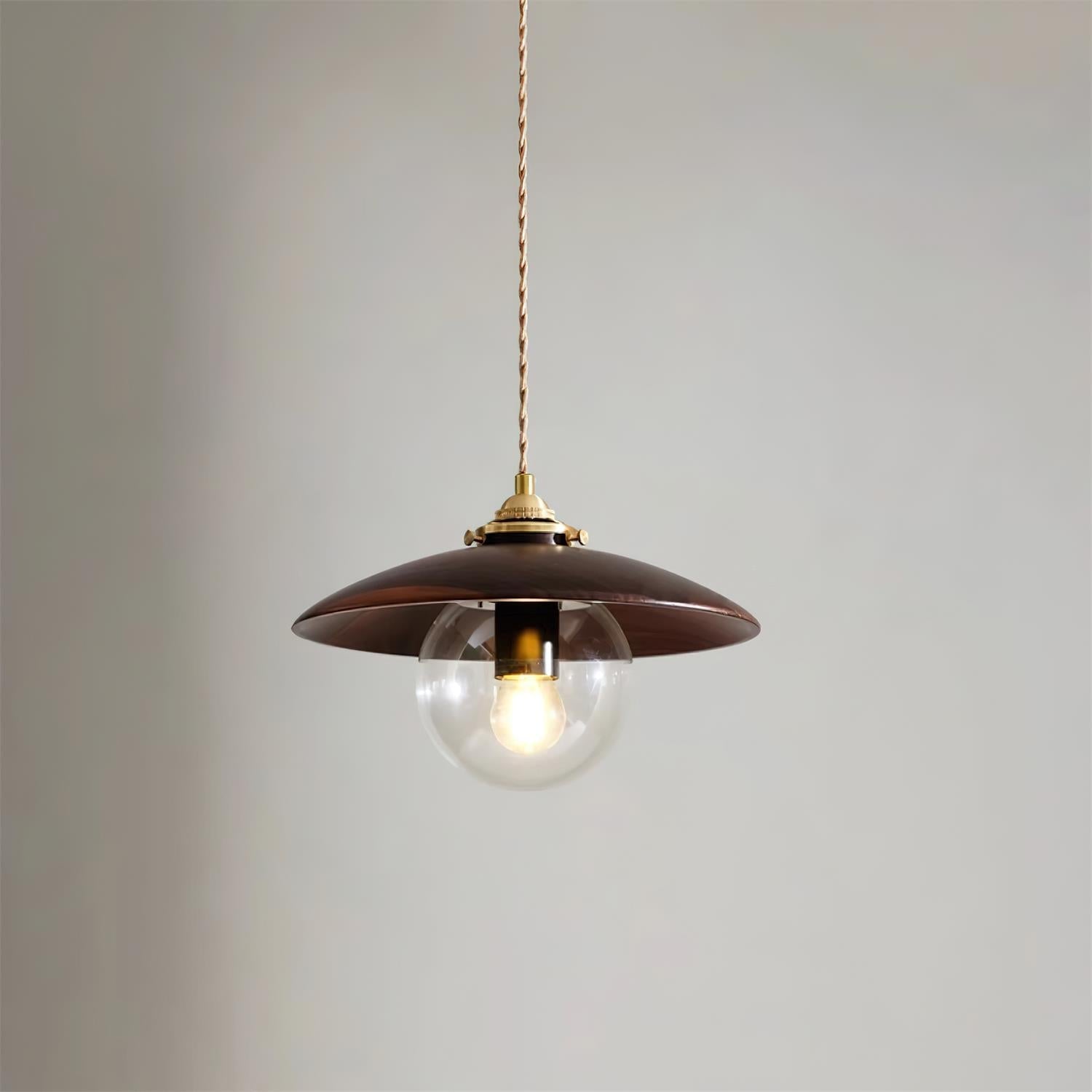 Pendant Light with Metal Disc Shade and Glass Globe Industrial - Neutralighting