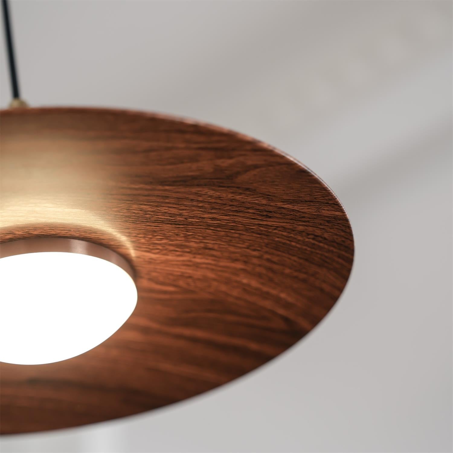 Veylo Adjustable Swing Arm Pendant Light - Neutralighting