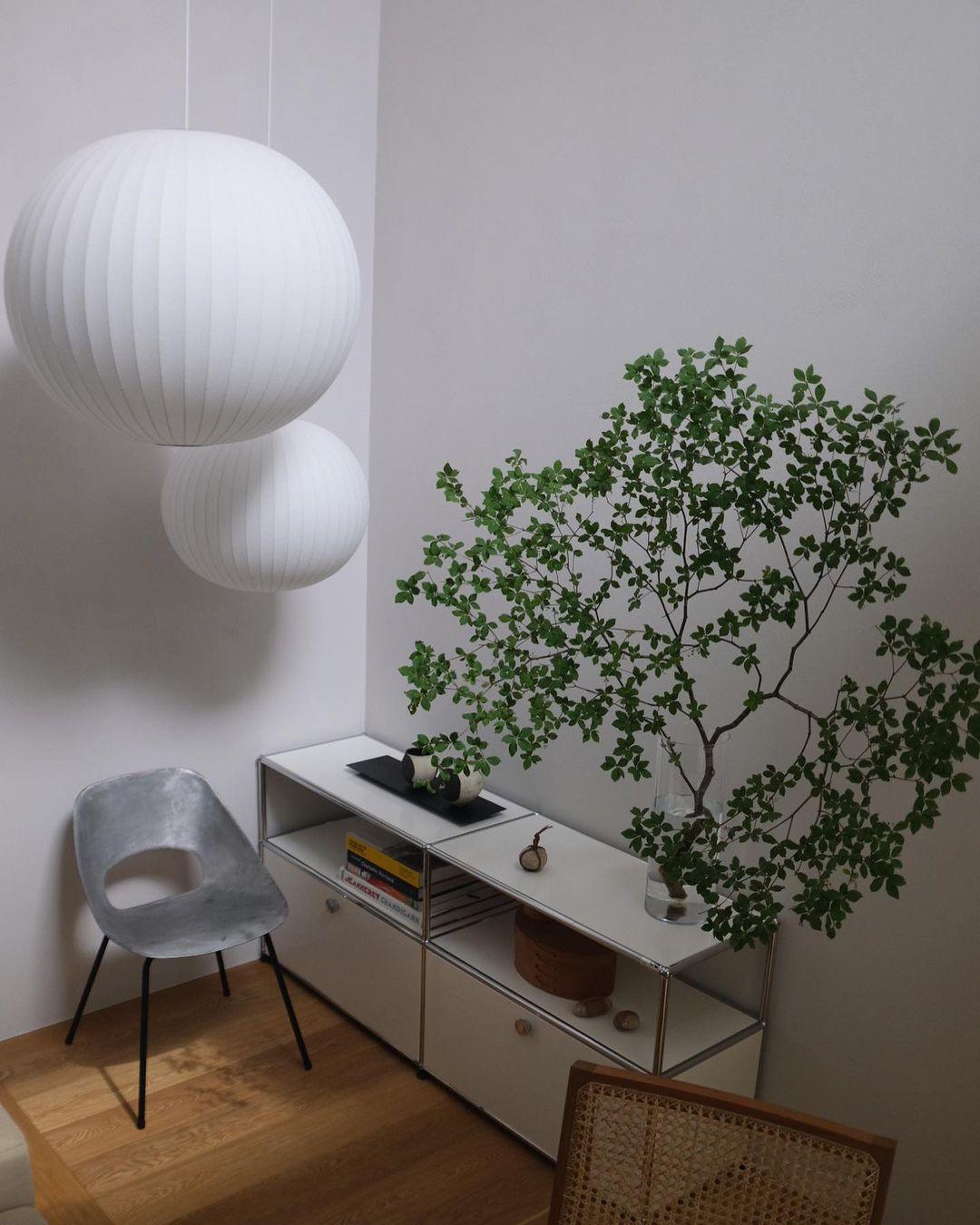 Alvaris White Modern Pendant Light - Neutralighting