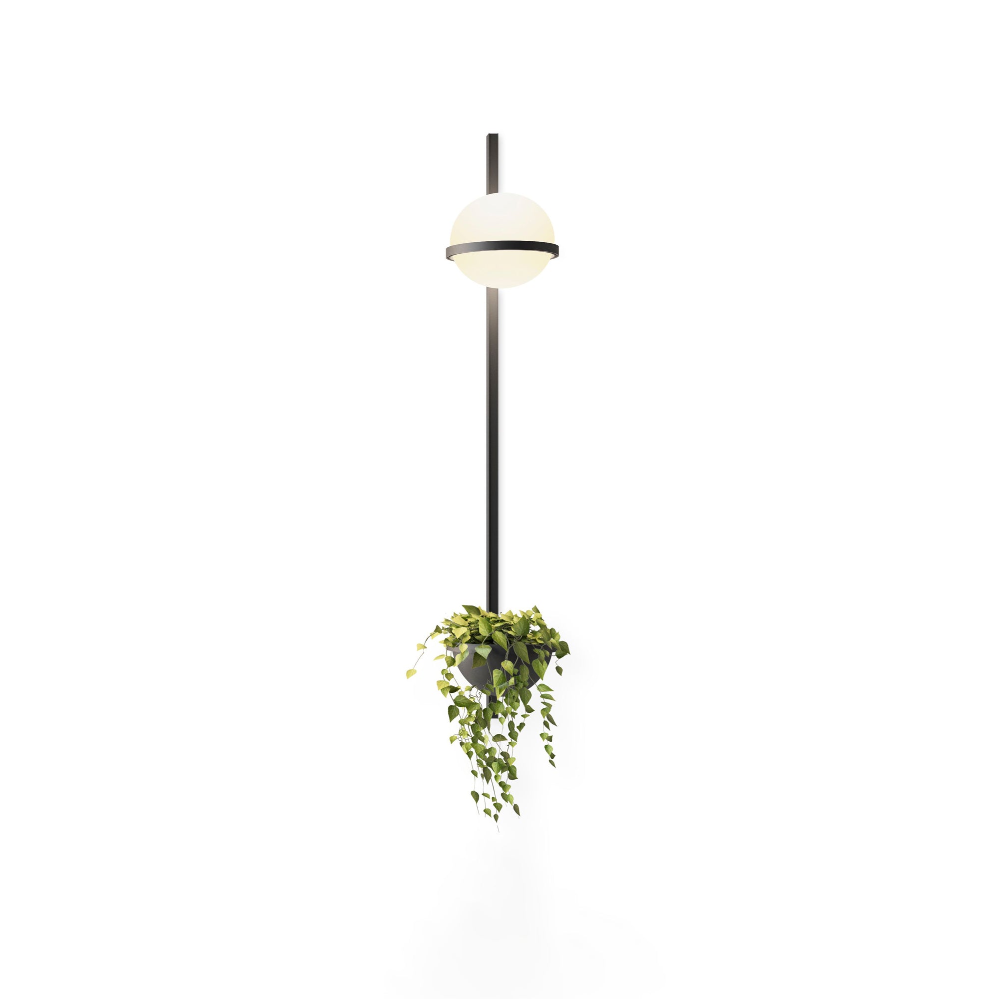 Ray Indoor Outdoor Wall Light - Neutralighting
