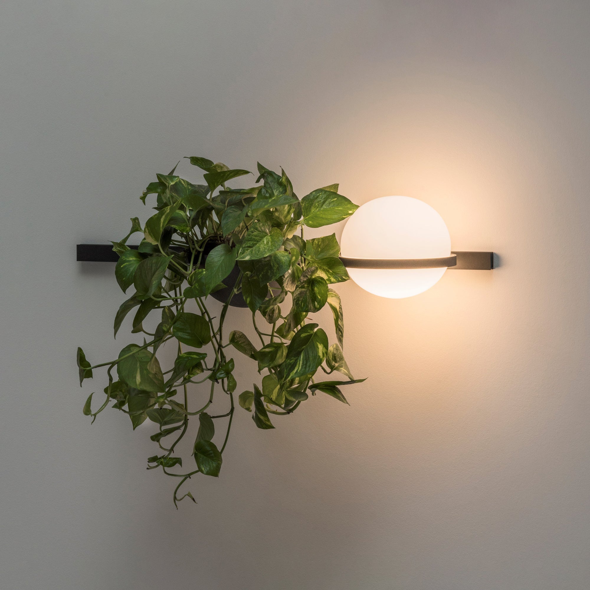 Ray Indoor Outdoor Wall Light - Neutralighting