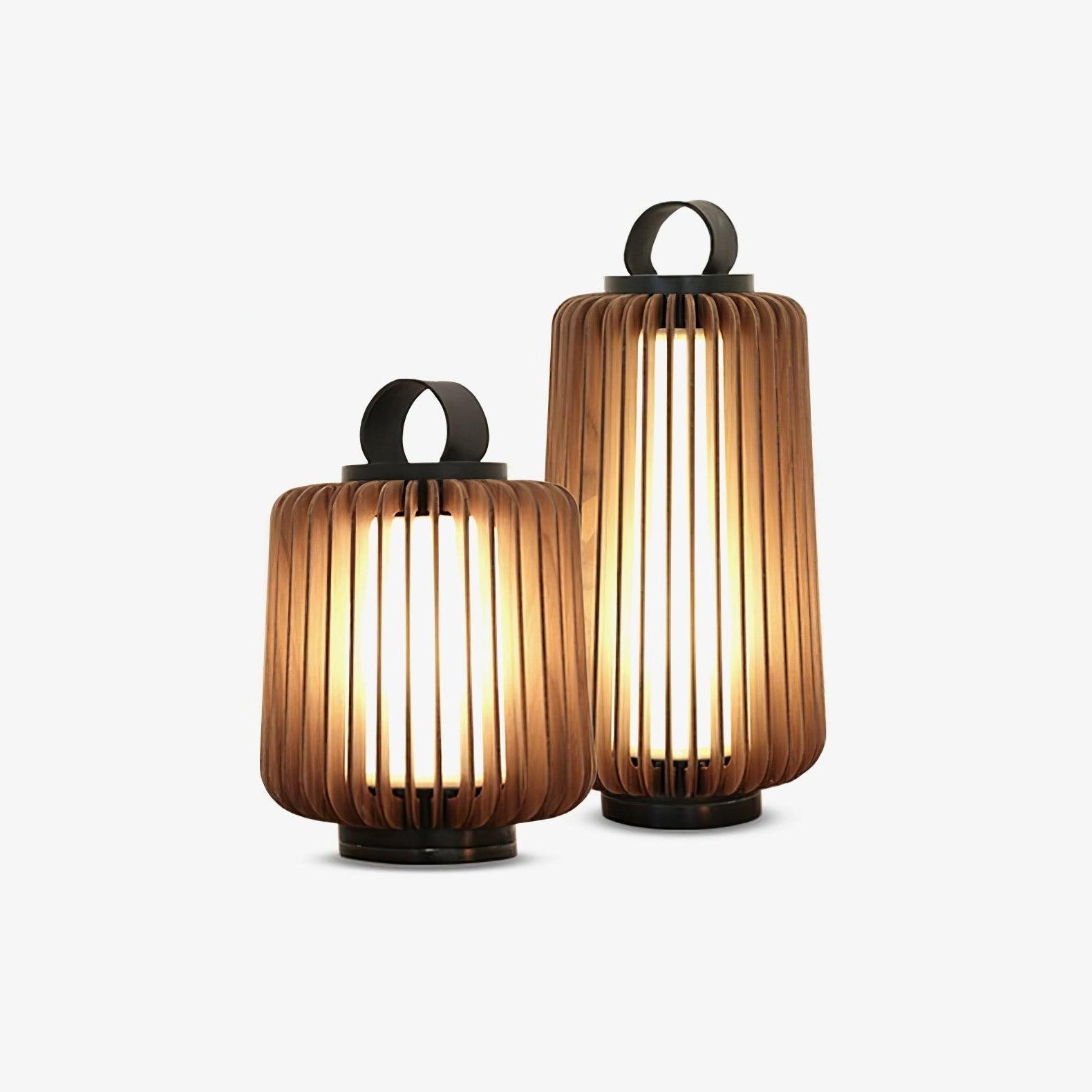 Ray Portable Lantern Outdoor Light