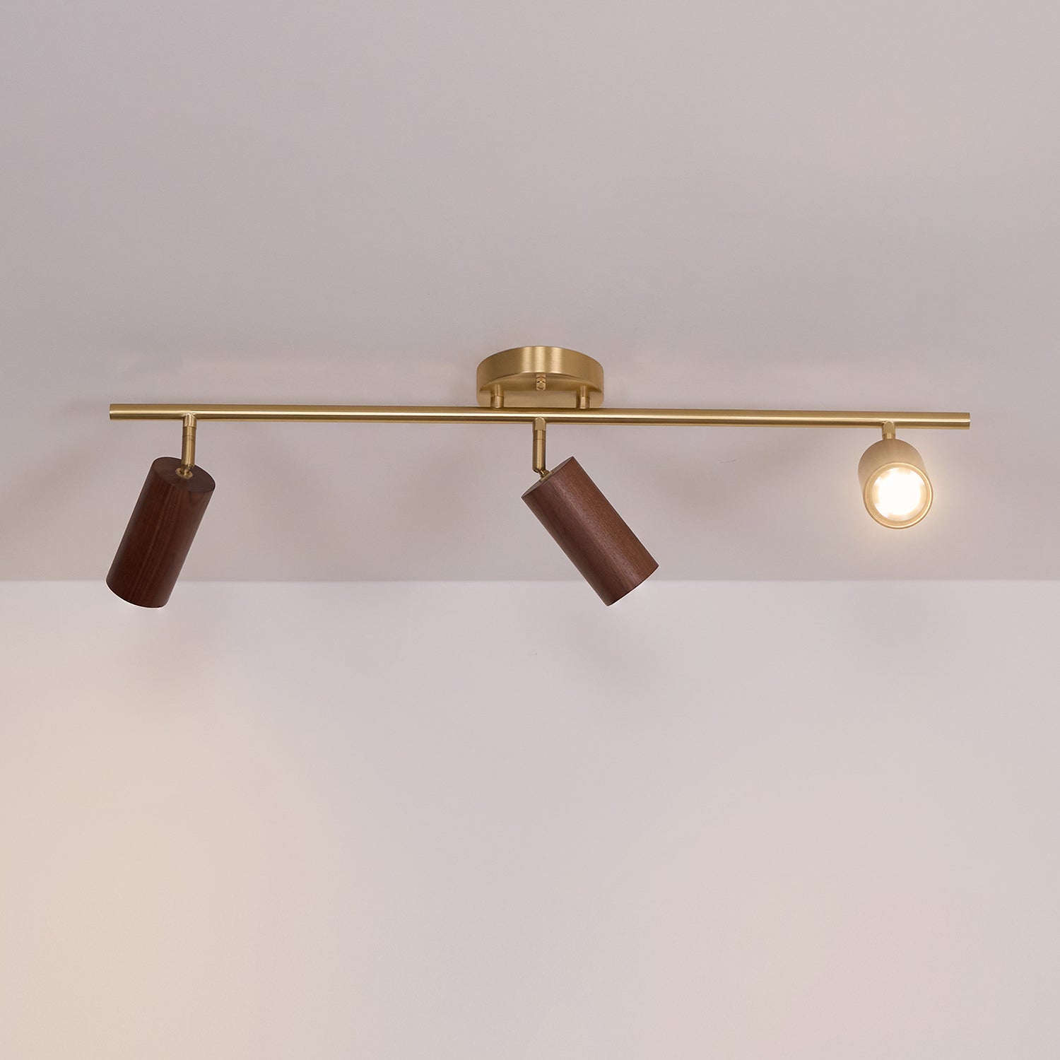 Liora Wooden Track Ceiling Light - Neutralighting