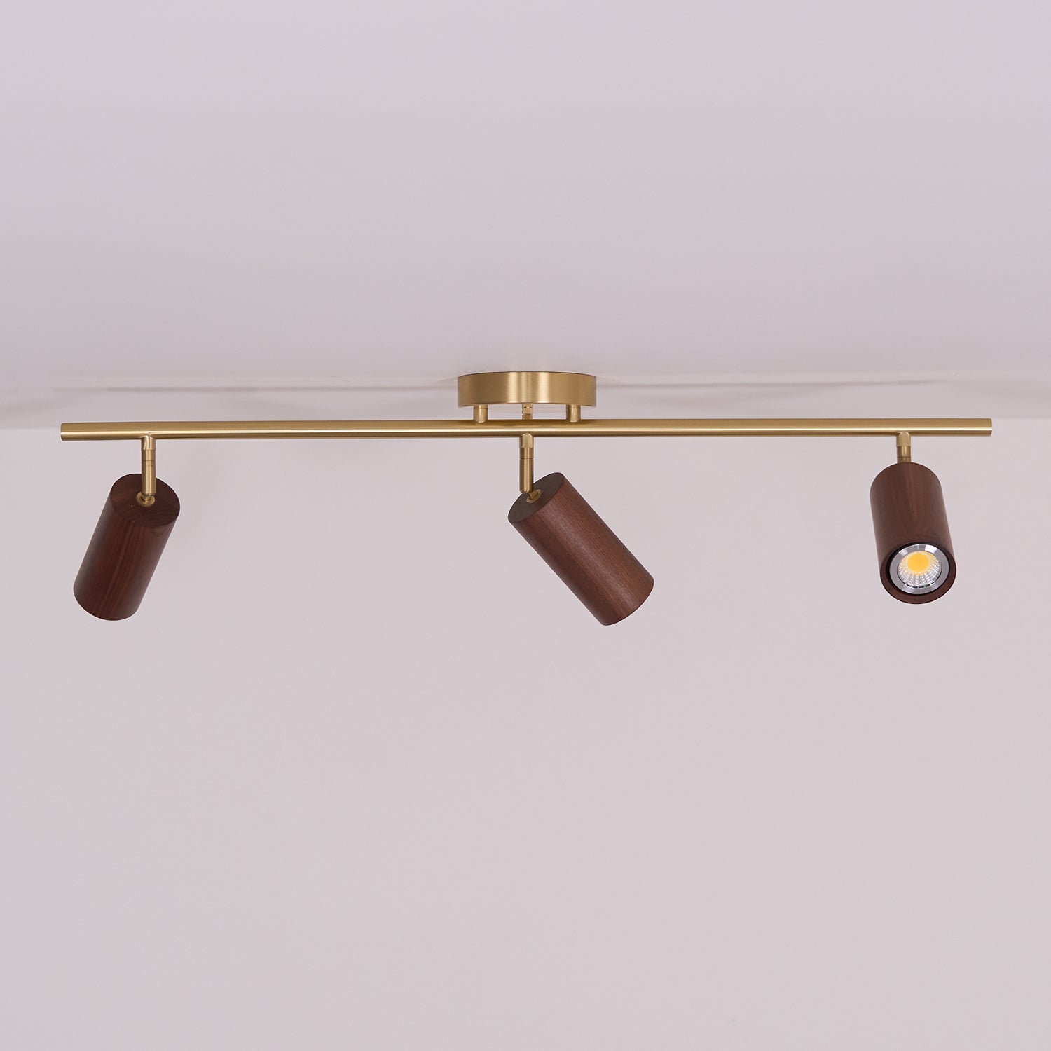 Liora Wooden Track Ceiling Light - Neutralighting