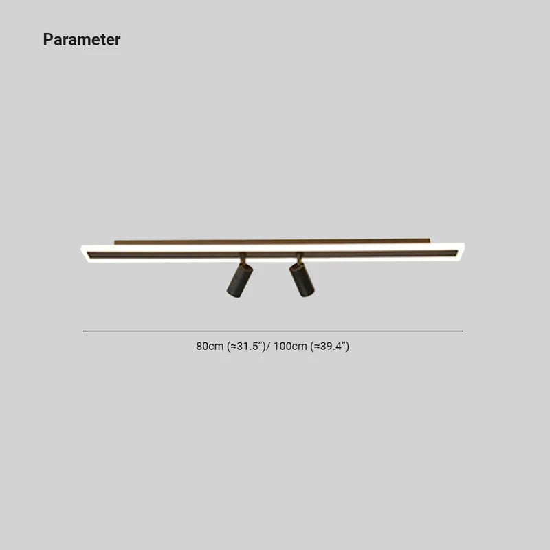 Aim Minimalist Double-linear Ceiling Light Spotlight, Black - Neutralighting