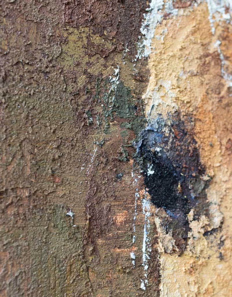 Brown‑White Rustic Vertical Horse Wildlife Textured Portrait Artwork